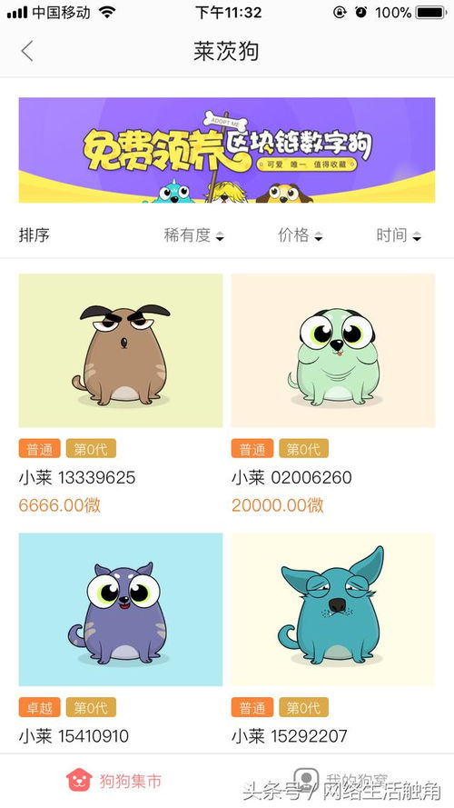 軟件先行，硬件奠基 我的區塊鏈產品參與策略